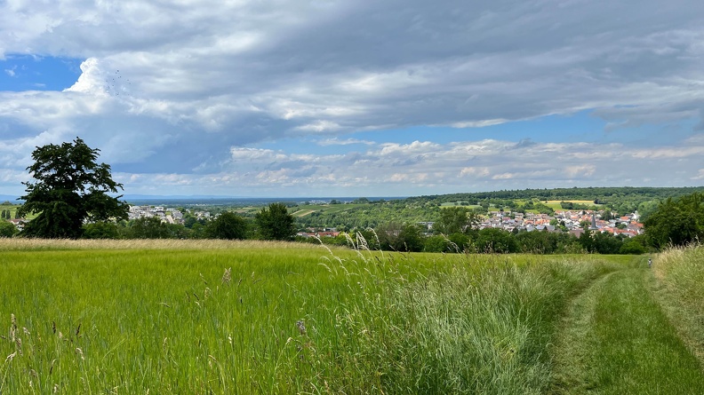 22-06-06 14-49-54 1072.jpeg